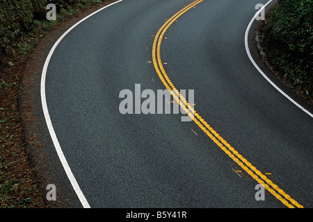 Jedediah Smith State Park Highway 199 schlängelt sich durch Redwood-Wald östlich von Crescent City, Kalifornien USA Stockfoto