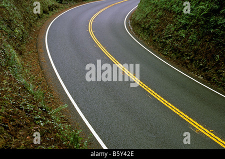 Jedediah Smith State Park Highway 199 schlängelt sich durch Redwood-Wald östlich von Crescent City, Kalifornien USA Stockfoto