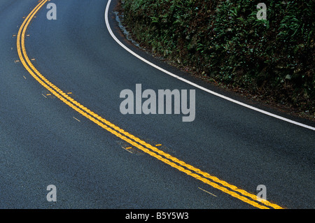 Jedediah Smith State Park Highway 199 schlängelt sich durch Wald östlich von Crescent City, Kalifornien USA Stockfoto