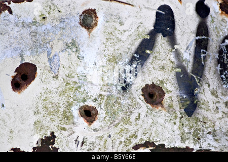 Nahaufnahme von rostigem Metall mit abgeplatzte Farbe und Kugel Löcher Stockfoto