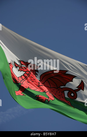 Stadt von Cardiff, Wales. Die walisische Nationalflagge des roten Drachen fliegen über die Zinnen des Cardiff Castle Norman Keep. Stockfoto