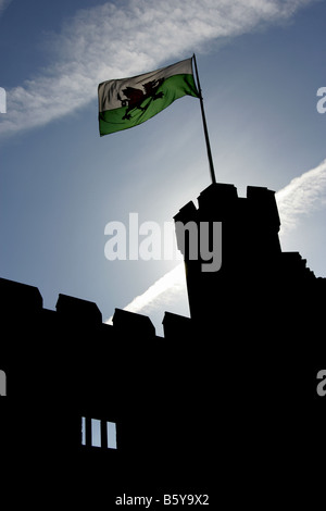 Stadt von Cardiff, Wales. Die walisische Nationalflagge des roten Drachen fliegen über die Zinnen Cardiff Castle Norman Keep. Stockfoto