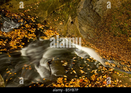 Blick hinunter auf Kapelle fällt, dargestellter Felsen-Staatsangehöriger Lakeshore, in Michigan Upper Peninsula Stockfoto