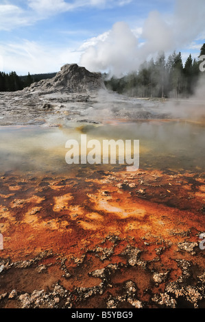 Castle Geyser mit roten thermophile Bakterien im Vordergrund Stockfoto