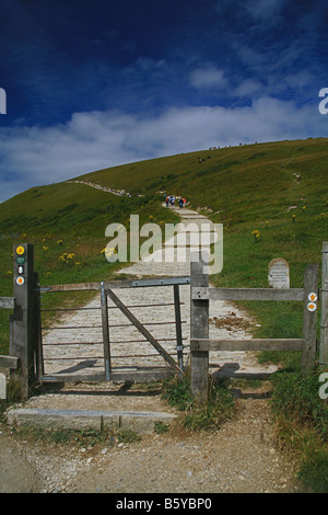 Wanderer auf dem Süd-West Küste Fußweg bei Lulworth Cove, Dorset, England, UK Stockfoto