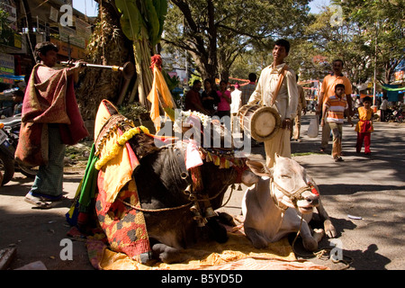 Sankranti - Kannada Form des neuen Jahres - wird Mitte Januar in Bangalore gefeiert. Stockfoto