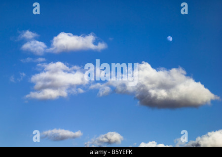Flauschige weiße Wolken, die über einen klaren blauen Himmel gleiten, während der Mond an einem hellen Nachmittag sichtbar ist. Stockfoto