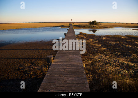 Ein Dock in einem Salzwasser Sumpf entlang der Küste von South Carolina in der Nähe von Charleston Stockfoto