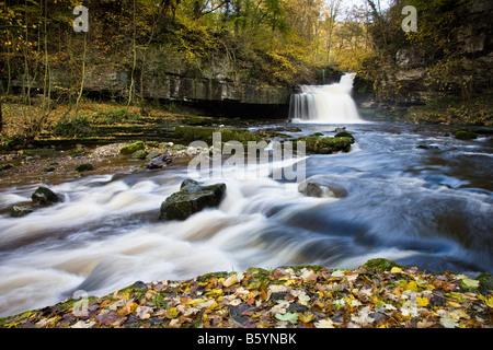 Westen Burton Falls Yorkshire Dales National Park Stockfoto