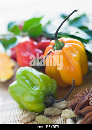 Auswahl an asiatischen Gewürzen Stockfoto