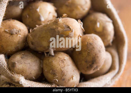 Tasche von Jersey Royal Kartoffeln Stockfoto