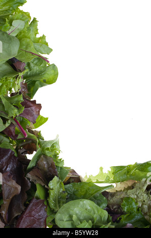 tolles Bild von einem Salat Salat frame Stockfoto