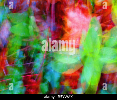 DIGITALE Kunst: Herbstfarben Stockfoto