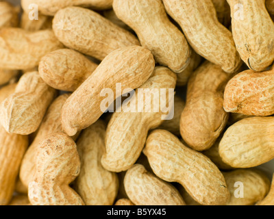 Erdnüsse In Schalen Stockfoto