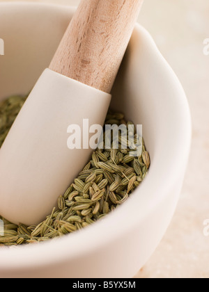 Fenchelsamen In einem Stößel und Mörser Stockfoto