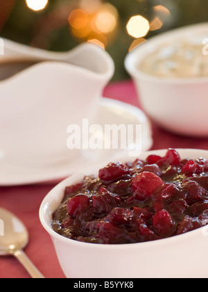 Traditionelle Saucen für Truthahn Stockfoto