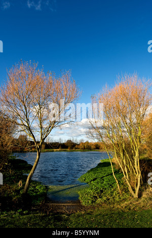 Northlands Park See in Basildon, Essex. Stockfoto