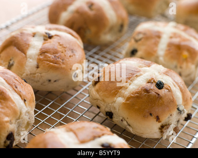 Hot Cross Buns auf ein Kuchengitter Stockfoto