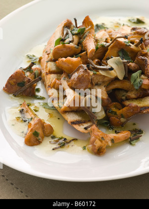 Wilde Pilze gebraten in Knoblauchbutter mit Char gegrilltes Baguette und schwarze Trüffel Stockfoto