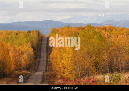 Herbst farbige Bäume entlang der Straße in Britisch-Kolumbien Stockfoto