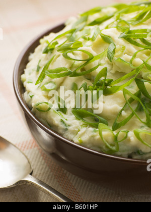 Schüssel mit Champ Stockfoto