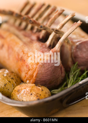 Am besten Ende Englisch Frühlingslamm mit Rosmarin gebraten Frühkartoffeln Stockfoto