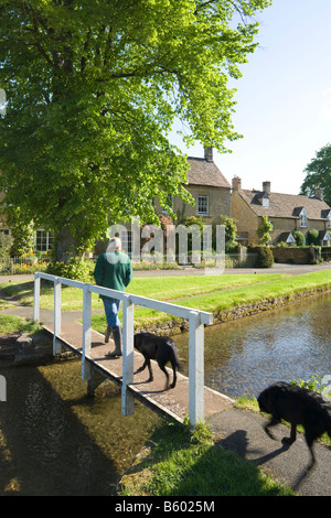 Geben die Hunde am frühen Morgen zu Fuß in die Cotswold Dorf von Lower Slaughter, Gloucestershire Stockfoto