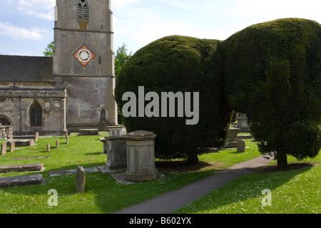 Zwei der neunundneunzig Eiben auf dem Kirchhof von St. Marys Kirche in der Cotswold-Dorf Painswick, Gloucestershire Stockfoto