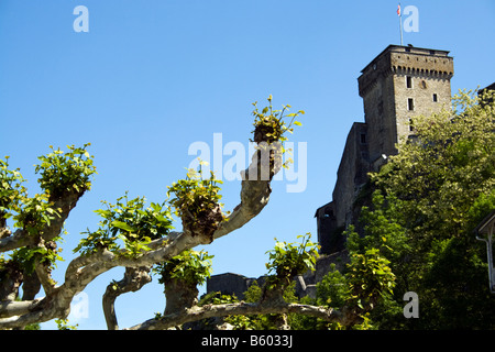 Frankreich, Lourdes. Château Fort de Lourdes in Frankreich Stockfoto