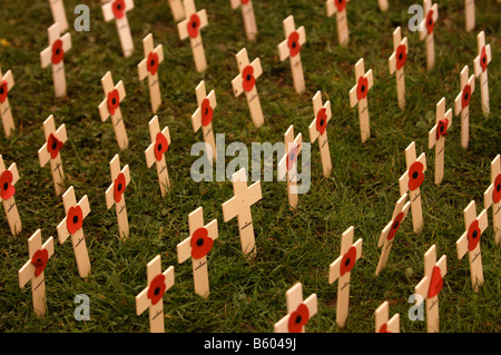 REIHEN VON MINIATUR HOLZKREUZE BEI DER VORSTELLUNG DER 2007 MOHN BESCHWERDE WESTON SUPER MARE SOMERSET Stockfoto