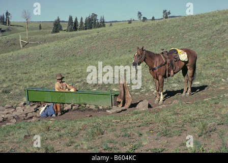 Eine amerikanische Reihe Cowboy mit seinem Pferd gebunden in der Nähe nimmt ein Bad in einem Trog auf eine große Rinderfarm Bewässerung Stockfoto