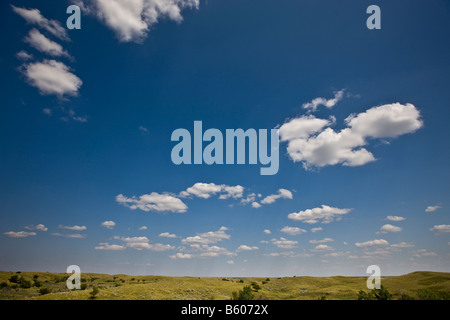 Blauer Himmel und geschwollenen Wolken über der Landschaft in der Nähe der Great Sand Hills, Zepter, Saskatchewan, Kanada. Stockfoto