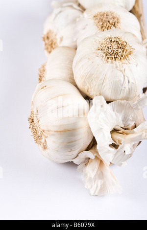 Eine Reihe von Knoblauch Zwiebeln Stockfoto