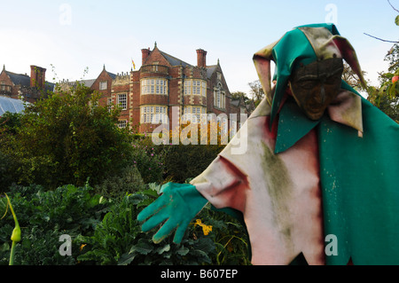 Eine Narr Vogelscheuche schützt die Award preisgekrönten Gärten in Burton Agnes Hall, nr Driffield, Yorkshire, Großbritannien Stockfoto