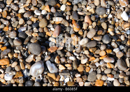 Kieselsteine hauptsächlich aus Feuerstein am Strand bei Branscombe East Devon Stockfoto