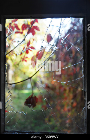 verfallenes Haus in Doel Belgien Stockfoto