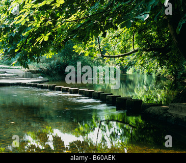 Die Trittsteine über den Fluss Box Maulwurfshügel Surrey UK Stockfoto