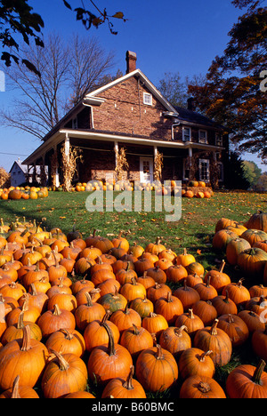 Bunte Kürbisse Stein Bauernhaus, Trauger Bauernhof, Delaware & Pennsylvania Canal, Bucks County, Pennsylvania, USA Stockfoto