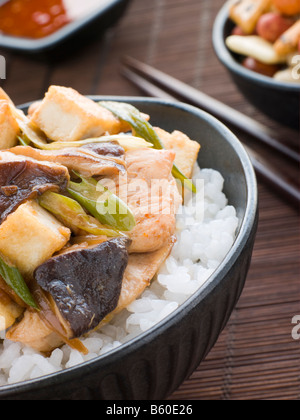 Huhn und Pilz Donburi mit Gebratener Tofu Stockfoto