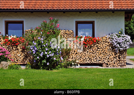 Schnüre von Brennholz gestapelt gegen ein Haus verziert mit Blumen, in der Nähe von München, Bayern Stockfoto