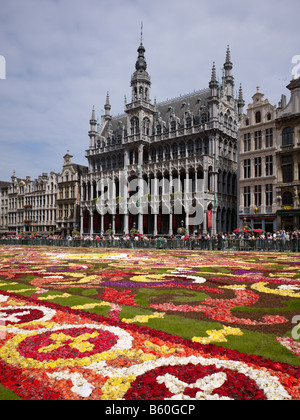 Blumenteppich am Grand Place mit Gotic House des Königs oder des Broodhuis Maison du Roi-Brüssel-Brabant-Belgien Stockfoto