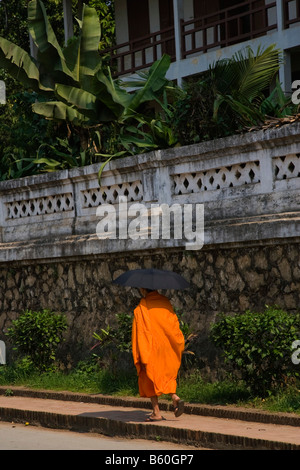 Buddhistischer Mönch zu Fuß neben einer Wand, Luang Prabang, Laos, Asien Stockfoto