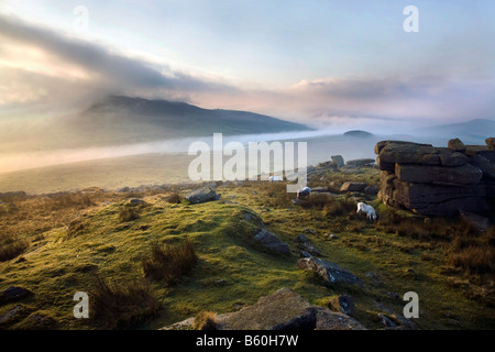 Nebel am Roughtor Bodmin moor cornwall Stockfoto