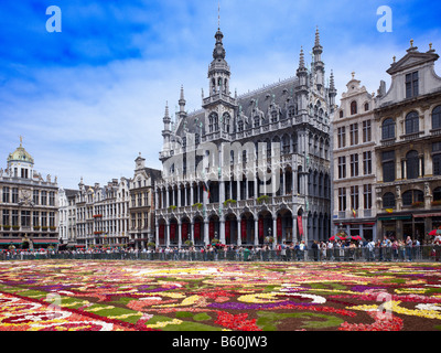 Blumenteppich am Grand Place mit Gotic House des Königs oder des Broodhuis Maison du Roi-Brüssel-Brabant-Belgien Stockfoto