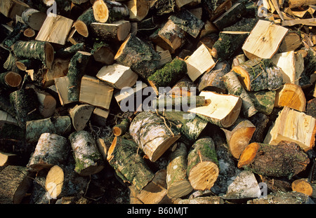Gehackte Protokolle für Brennholz, UK. Stockfoto