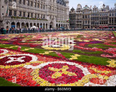 Blumenteppich am Grand Place Brüssel, Brabant, Belgien, Europa Stockfoto