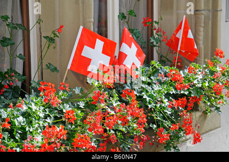 Schweizer Fahnen in Blumenkästen auf einem Fenster Fensterbank, Zofingen, Aargau, Schweiz, Europa Stockfoto
