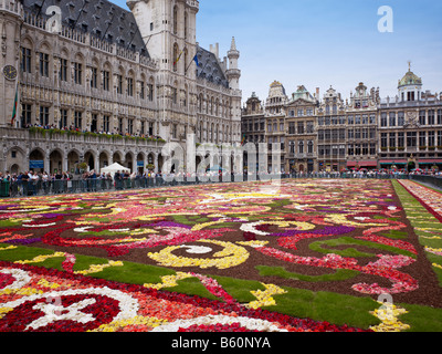 Blumenteppich am Grand Place Brüssel, Brabant, Belgien, Europa Stockfoto