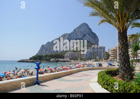 Playa La Fossa, Strand, Berge, Menschen, Penon de Ifach, Strandpromenade, Palm trees, Calpe, Costa Blanca, Alicante, Spanien Stockfoto