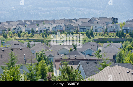 Dächer von einer Wohnsiedlung in Issaquah Hochland WA Stockfoto